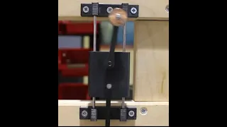 Kapitza Pendulum