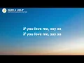 Robin Schulz, David Guetta & Cheat Codes - Shed a Light (Lyrics)
