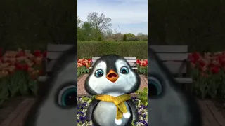 Happy Mamas Day Iloveyou Iloveyoumom Cuteanimals Penguin 