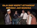 Download Lagu HEBOH SATU KAMPUNG TANGKAP PESUGIHAN BABI NGEPET 