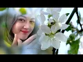 Download Lagu Lagu dangdut baper \