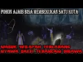 Download Lagu MENEMBUS PORTAL!! POHON PENYEMBUH AJAIB SUDAH DIDEPAN MATA