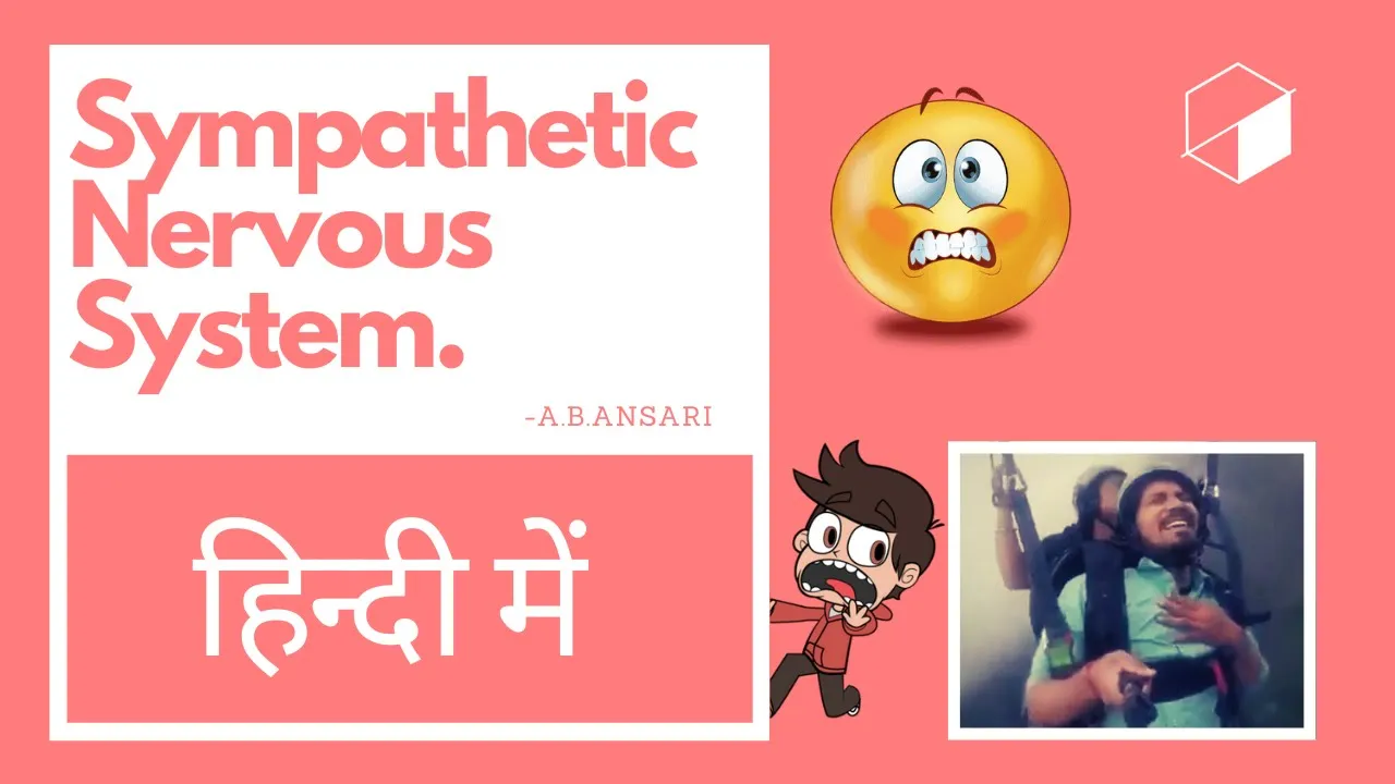 Sympathetic Nervous System| (In HINDI) | Easy way| #chemipro #pharmacology
