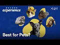 How Oregon became so pet-friendly Oregon Experience