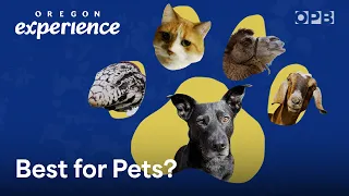 How Oregon became so pet-friendly Oregon Experience