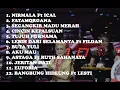 Download Lagu (HQ) PLAYLIST MELI LIDA 2020 12 LAGU AUDISI LIDA INDOSIAR SAMPAI GRAND FINAL