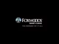Foxwoods Tanger Outlets Moonlight Madness 2015