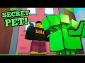 i GOT the SECRET PET in Pet Simulator X