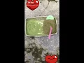mua bột trà xanh matcha ở đâu hà nội Update Phân biệt bột trà xanh thật - giả . Các bạn đừng tiếc 5k-10k mào mua phải loại đểu đắp lại hỏng mặt