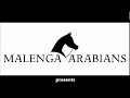 Download Lagu Khaliq Nayla (World-Champion res. Khidar x Nyalah El Absha by Salaa El Dine)