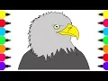Learn Colors For Kids - How To Draw and Color Bald Eagle