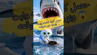 حصل كارثه للقطه وايت ونهايه غير متوقعه Catvideos Cats Ai Cartoon Aivideo Aishorts Meow 