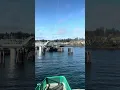 When taking the Edmonds Ferry to Kingston WA