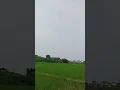 Download Lagu Selvi Kumalasari-bukit berbunga