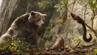 ספר הג ונגל 2016 מוגלי עוזר לבאלו להשיג דבש 