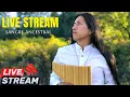 Download Lagu Jorge Sangre Ancestral - Live stream | Chirapaq | Dreamcatcher | Native flute music