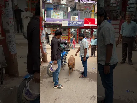 মানুষ আর আগের মতো নেই, মানুষ এখন অমানুষ হয়ে গেছে!😢