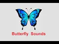 Download Lagu butterfly sound effects all sounds