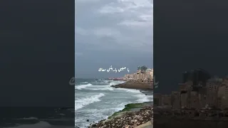 عامر م نيب  جيت علي بالي كده من كام يوم قولت اما اسأل فينك     دندنها