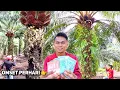 Download Lagu This is the salary for harvesting palm oil in Malaysia