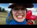 Serotonin - Marie Ulven