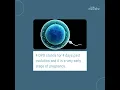 4 DPO Pregnancy Symptoms