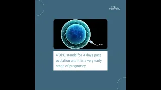 4 DPO Pregnancy Symptoms