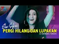 Download Lagu Elsa Safira  -  Pergi Hilang Dan Lupakan - Dj Kentrung (Official Music Video)