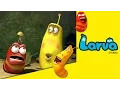 Download Lagu Larva | Mushroom | Episode 4 | Season 1