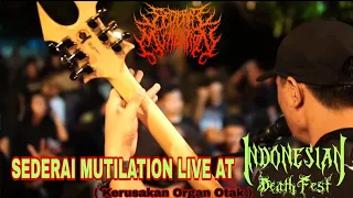 Download Sederai Mutilation - Kerusakan Organ otak (Live At Indonesian Death Fest Chapter Balikpapan) MP3