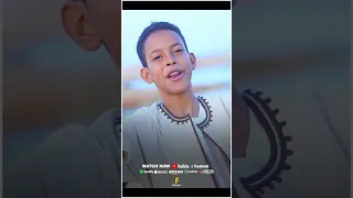 قلبى العليل يانبى مالو مكان غيرك كروان المديح اناشيد 