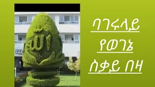 አይ ወገኔ ባገሩላይ ተሰቃየ አላህ አተ ዲርስላቸው 