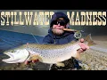 Still Water Madness Crushed My Personal Best Brown Trout On Fly