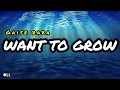 Gaise baba - want to grow (official lyrics video 2026)