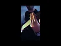 Drag me under blessthefall ft. Alpha wolf Bass cover