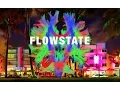 Lagu Flowstate through Default Mode Network (Flowstate/DMN Part 1)