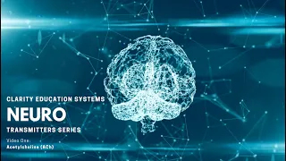 Neurotransmitters Acetylcholine