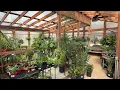 Beloved San Antonio plant nursery closing owners transforming property into free community garden