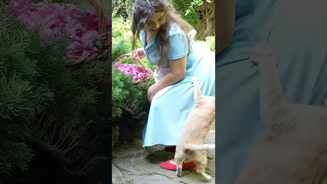 Vengeful cat 😸