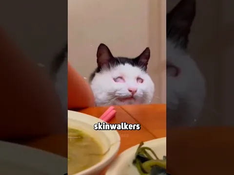 Could Cats Secretly Skinwalkers?