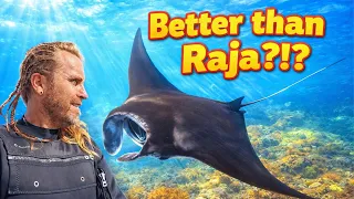 This reef is Better than Raja Ampat… and you’ve never heard of it.