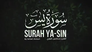 الله على هذه التلاوة سورة يس بصوت القارئ إسماعيل النوري 