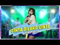Lagu Cinta Bilang Cinta - Rindi Safira - Om New Primadona