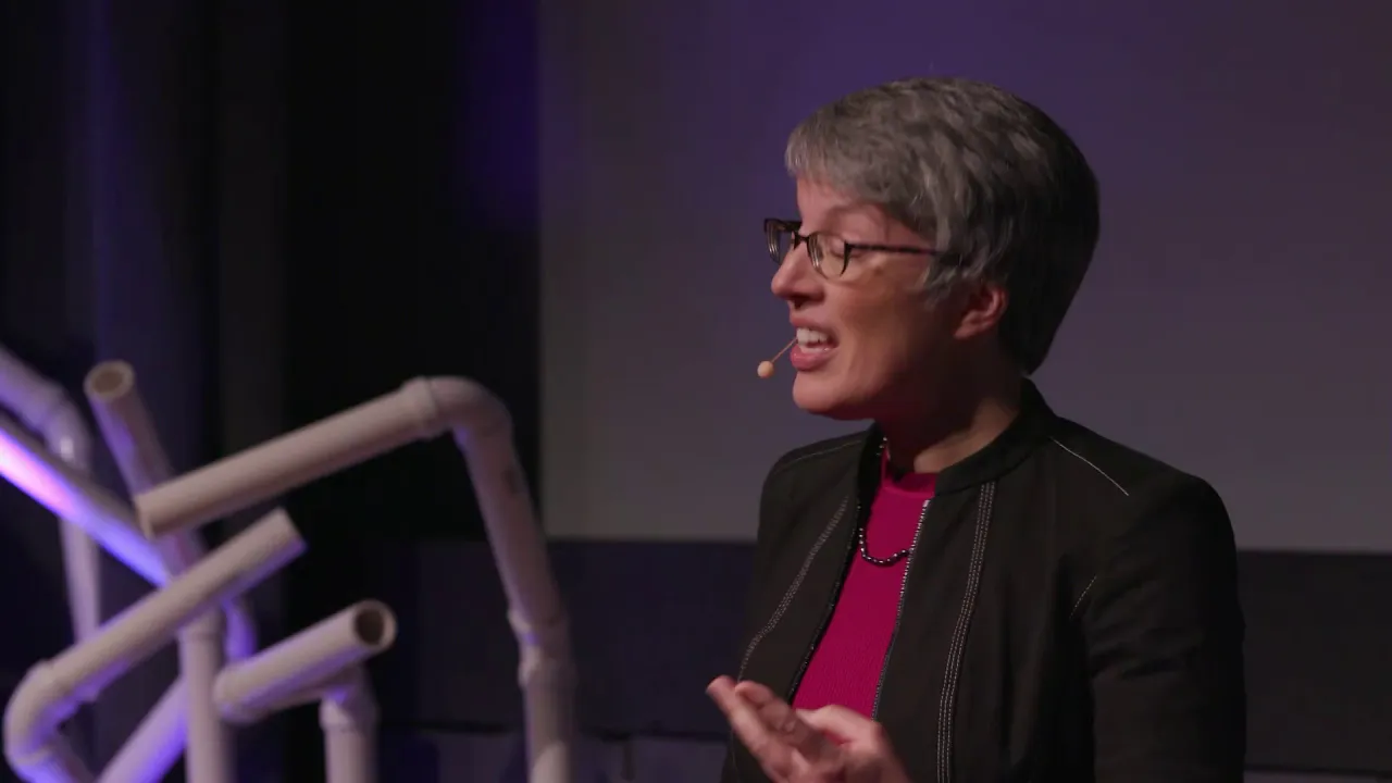 Microplastics:  Knowns, Unknowns, and Actions | Sheila Hemami | TEDxBeaconStreet