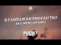Download Lagu DJ Andaikan Engkau Tau Aku Mencintaimu Slow Beat Viral TikTok 2021 (Bluesky Asia Remix)