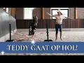 Download Lagu VRIJSPRINGEN MET TEDDY!😱 | PaardenpraatTV