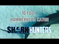 10 Foot Hammerhead Catch With NSB Shark Hunters