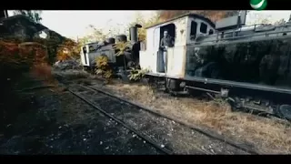 تامر عاشور  تسلم دندنها