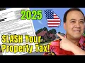 How to APPEAL your GA property tax assessment notice 2025 PT-311-A