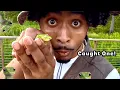 ASMR Nature Adventure Catching Frogs Lizards in Houston Everglades Sleep Relax Sounds